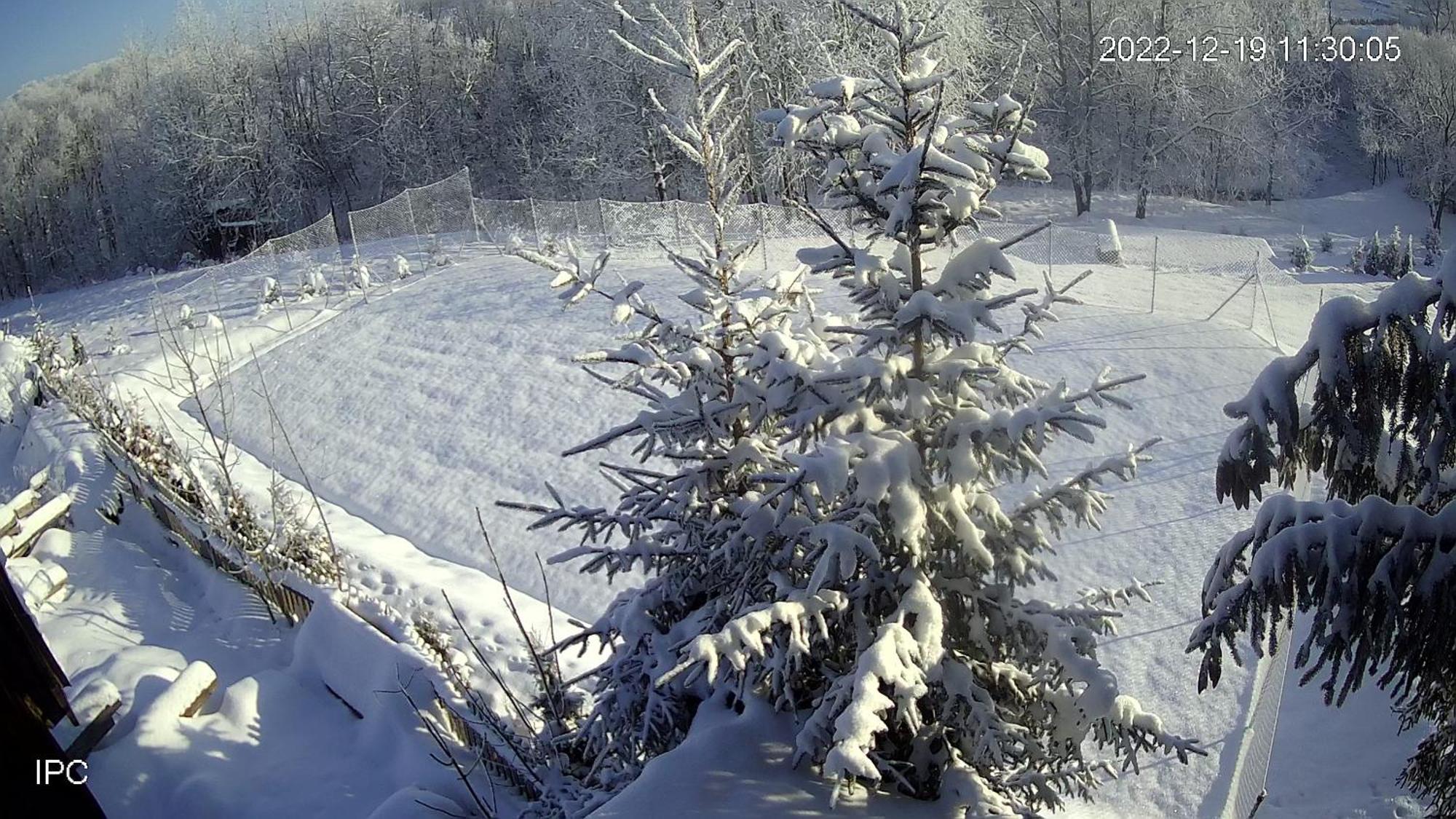Noclegi nad Czarną Orawą Podwilk Zewnętrze zdjęcie